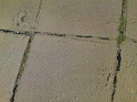 Maga a beton