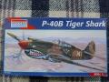 P-40 1:48 Monogram 3000ft