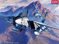 academy F-14 1.72