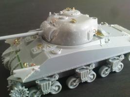 Sherman Crab
(ENDY)