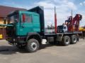 truck-timber-transport-MAN-33-464---1_big--08080421115428482000
