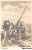 2cm Flak MG C30 Kriegsmarine AA gun and crew in position