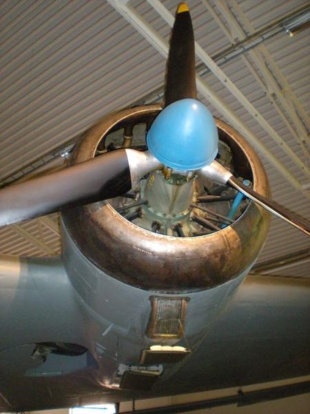 DSCN5833 mod.