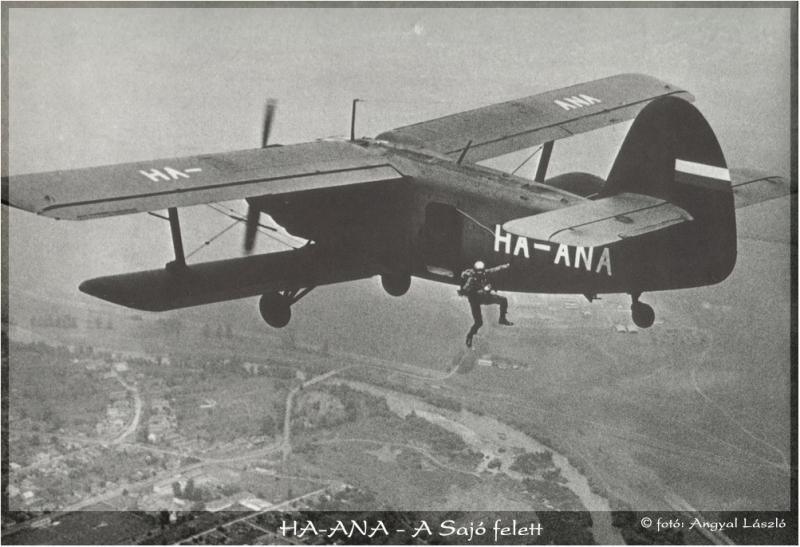 haana_7