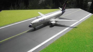 Boeing 737-800 Malév
(atala8)