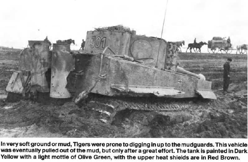 54.3762.1_tiger301