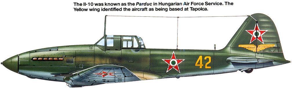 Magyar IL-10-es