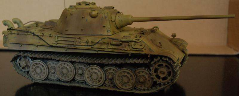 Panther F 13