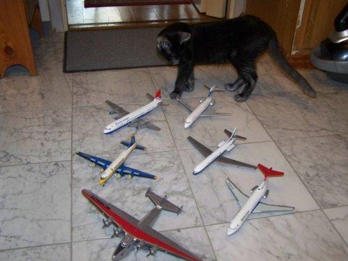 Clipper, DC-4, Vanguard, Trident, Caravelle, Tu-334, Jumurdzsák 02 kicsinyített