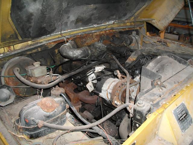 image (1)