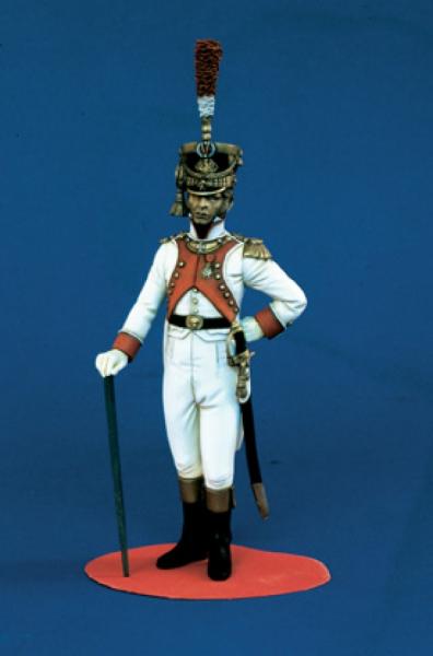 VER-1099

Grenadiers of the Line Officer 22nd.Regiment