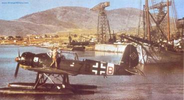 Arado Ar-196 A-3
(skulo)