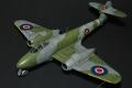 1/48 Tamiya Gloster Meteor

3500,-