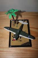 Curtiss P-40N
(vityap)