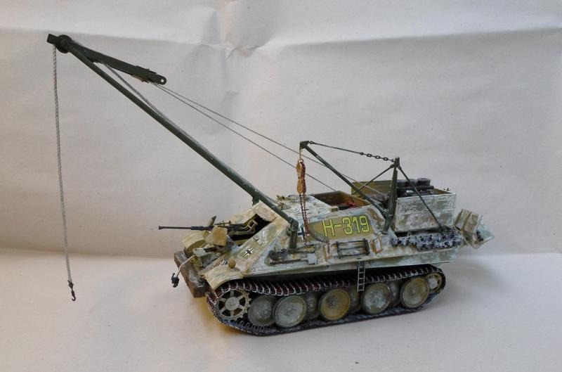 SAM_0541

BergeJagdpanther