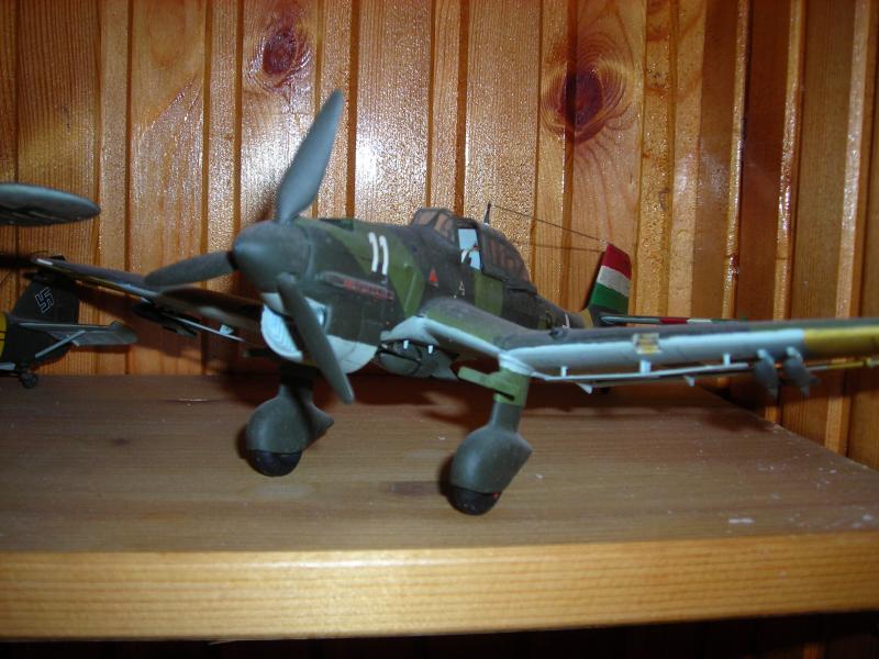 DSCN2114 Stuka