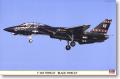 1/48 Hasegawa F-14D Tomcat (megkezdett)

6.500,-