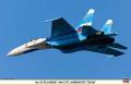 Su-27 Flanker 4th CTC Aerobatic team

1:72 Hasegawa 6.800,-Ft