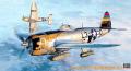 P-47D-25 Thunderbolt

1:48 7.500,-