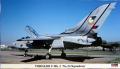 Tornado F Mk.3

1:72 7.000,-