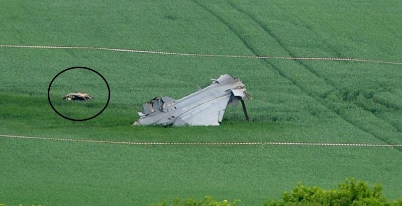 489973-original1-tmkcv