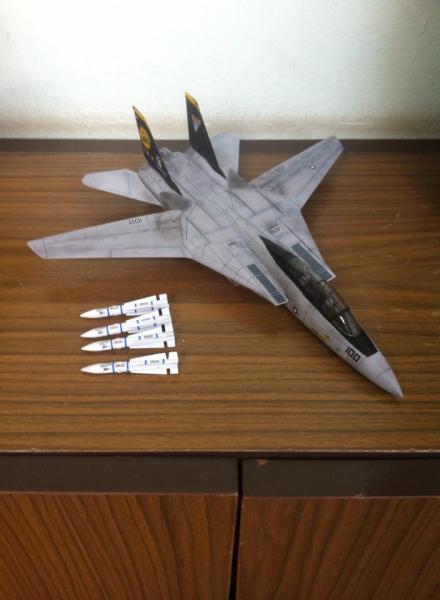 Revell 1/72, F-14D, Last Flight