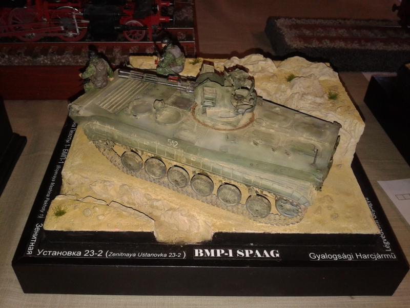 Kápolnásnyék 2015 002