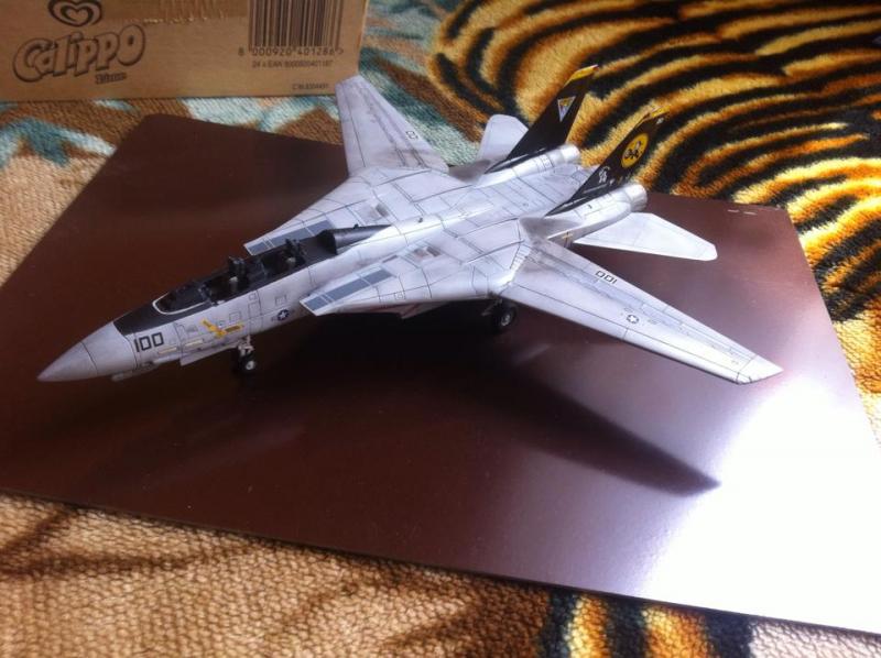 F-14D Tomcat - 1
