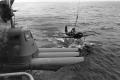 aaa 6-PE-Arado-torpedo-tubes