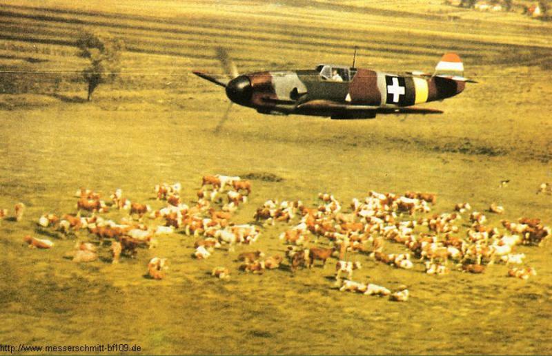 Bf-109F-RHAF-experimental-camouflage-scheme-02