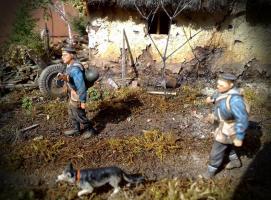 IMG_20160324_064457