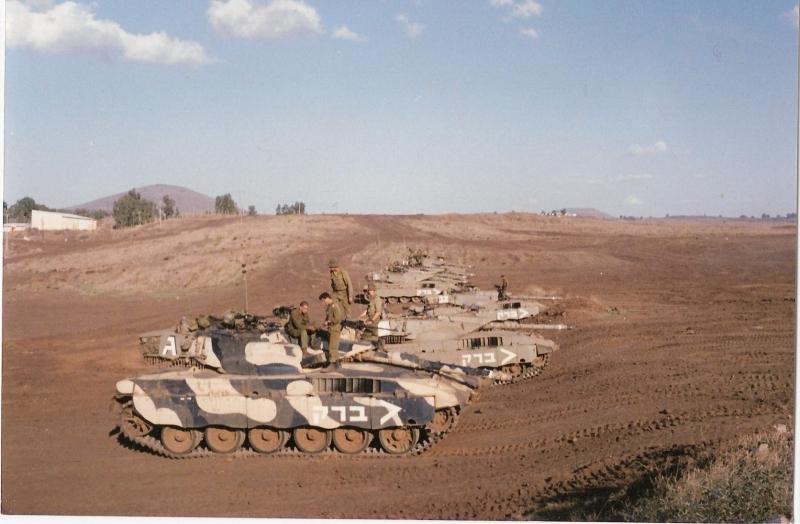 Israeli camouflage 80