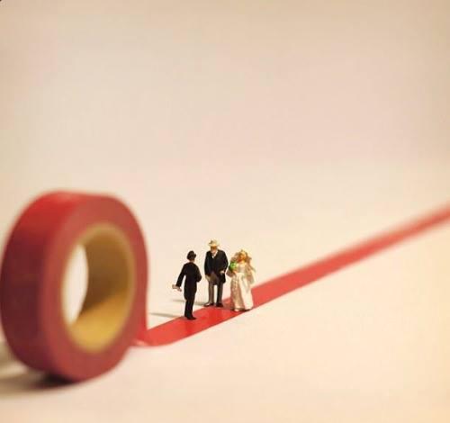 12715232_10207501869738418_3254301739115855521_n