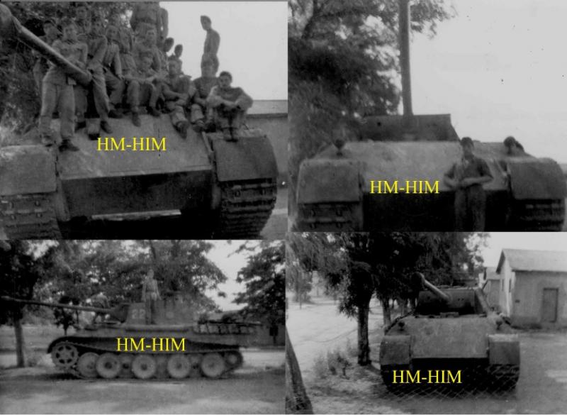 hu_panther_d