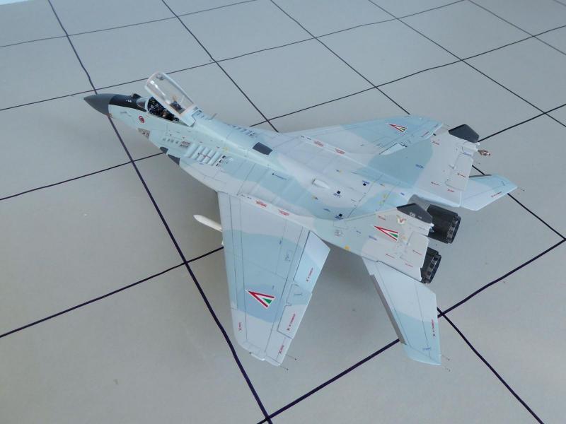 MiG-29 08 05