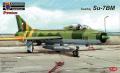 Su-7BM

1:48 8500Ft
