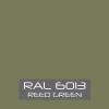 RAL-6013