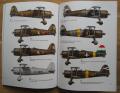 Fiat CR.42 Aces of WWII_01