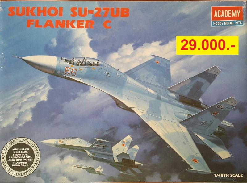 Su-27 UB (1)