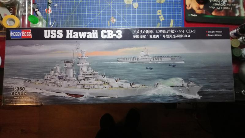 DSC_2381

USS Hawaii