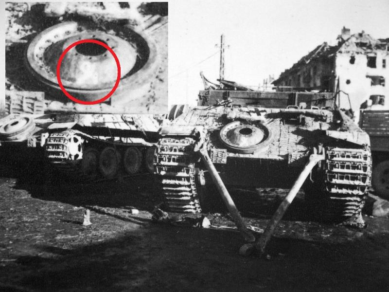 94_bergepanther