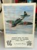 Japanese Naval Air Force Camouflage Markings World War
