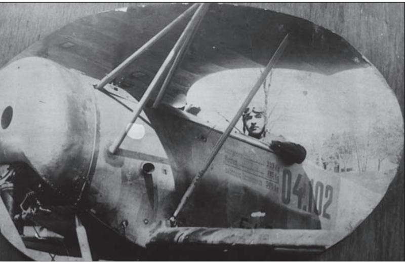 Fokker D VI._cr