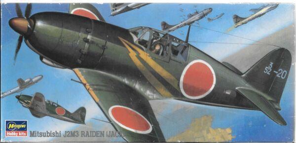 Hasegawa Raiden (3500)
