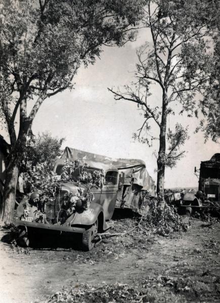 fortepan_222782