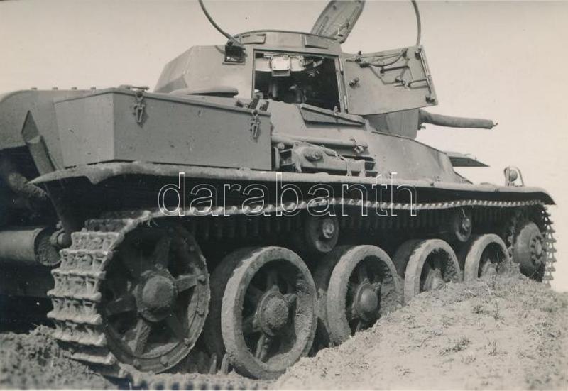 s333445