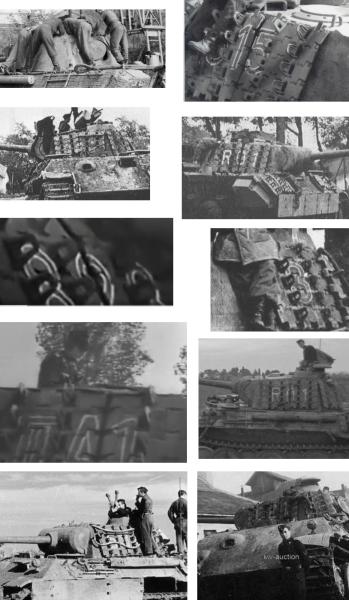 panther_23