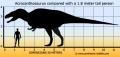 acrocanthosaurus-size