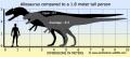 Allosaurus-human size comparison