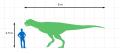 Carnotaurus_Size_Chart